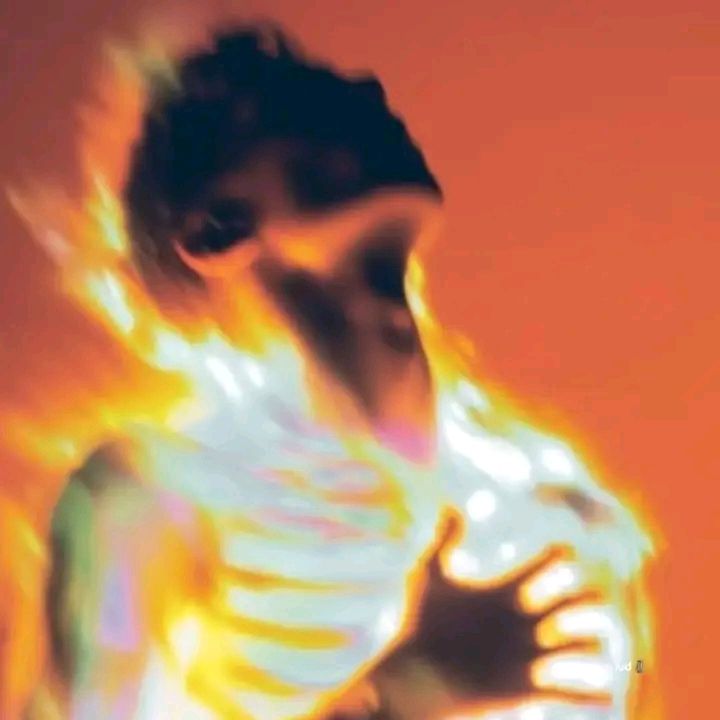 CHAPTER XIV. A PHOENIX’S REBIRTH